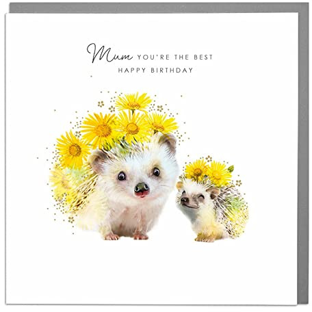 Lola Design – Geburtstagskarten für Mütter – Igel-Design, Mum You're The Best – Blanko-Karte mit grauem Umschlag – entworfen und gedruckt in Großbritannien – 150 mm x 150 mm