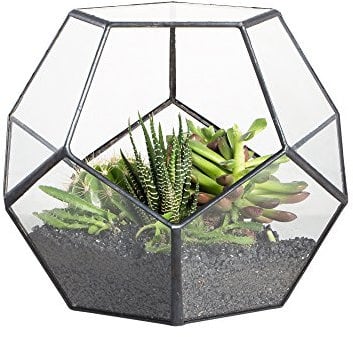 NCYP Handmade Blumentopf Transparentes fünfeckiges Dodekaeder Glas, Terrarium, auch für Sukkulenten, farblos, Schwarz (ohne Pflanzen)
