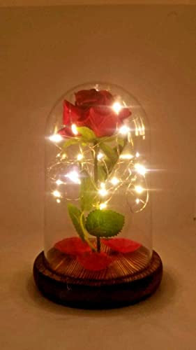 Rosa rossa la bella e la bestia a led Rosa eterna con petali rosa con cupola lampada la bella e la bestia idea regalo san valentino natale