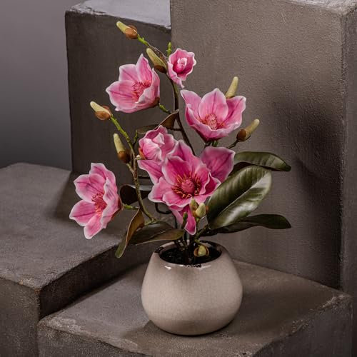 Arbustes Magnolia Artificiels Haut de Gamme avec Fleurs Roses Réalistes en Pot Céramique Craquelé Crème - Plante Décorative Éternelle, Idéale Décoration Salon, Bureau & Cadeau Chic
