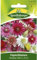 Papierblumen, Xeranthemum annuum, ca. 60 Samen