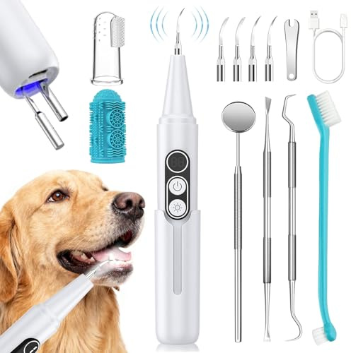 PATWING Zahnbelagentferner für Hunde, Haustier-Zahnreiniger mit LED-Licht und Ständer, Reinigungsset für Zahnstein und Flecken, 5 einstellbare Modi, Haustier-Zahnreinigungsset, geeignet für Hunde und