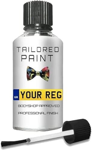 Mix By Reg Registration Plate Touch Up Paint For Tesla Mixed All In 1 Formula Perfect Colour Match Car Paint Check