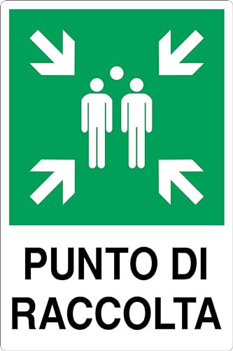 CARTELLO IN LAMIERA SCATOLATA RETTANGOLO 60X40 cm - PUNTO DI RACCOLTA - SEGNALE CATARIFRAGENTE (Classe 1)