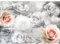 Runa Art Papier peint intissé Mural fleurs vintages Moderne Toison Salon Chambre à Coucherr Salle - Tableaux Muraux Tapisserie Photo - gris rose 9463010c