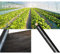 Film De Paillage en Plastique Noir Agricole, Film Biodégradable for Le Contrôle des Mauvaises Herbes du Jardin, Paillis De Couverture De Plante De Tomate Fraise d'une Épaisseur De 14 Microns (Color :
