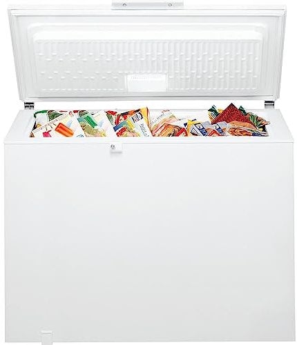 Bauknecht Gefriertruhe GTE ECO 222 C EX Supergefrierfunktion 219 Liter EEK: C