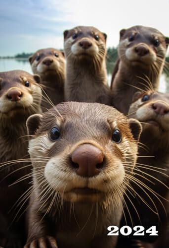 2024: A6 Wochentaschenkalender | 1 Woche auf 2 Seiten Terminplaner | Buchkalender im Mini Format | Lustige Otter Kalender | Jahresplaner Kalenderbuch ... | Agenda Planer Klein & Kompakt