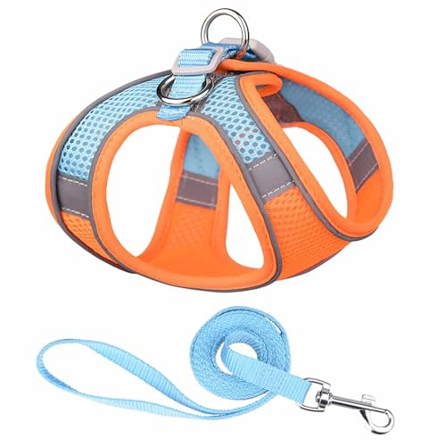 Monkimau Atmungsaktives Hundegeschirr mit Leine | Mesh und Nylon | Ideal für kleine Hunde und Katzen | Größe XXS bis L (Orange-Blau, M)