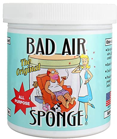 Bad Air Sponge Air Odor Absorbent, 14 ounce, 2-Pack