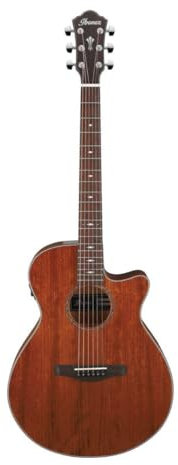 Westerngitarre Ibanez AEG220-LGS