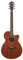 Westerngitarre Ibanez AEG220-LGS