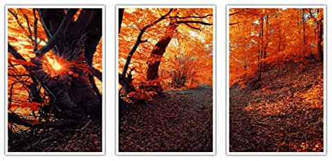Fall Seasons Forest Sunset Nature Trees Sunlight Outdoor Pflanzen Poster Leinwand Kunst For Home 3 panels Decorations Ungerahmt 8x12x3pcs