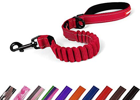 EZYDOG Zero Shock Dog Lead | Shock-Absorbing, Dog Leads For Small, Medium, Large Dogs, Soft Padded Handle, Traffic Control, 25 inches (Red)