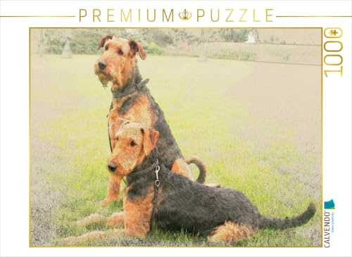 CALVENDO Puzzle EIN Motiv aus dem Kalender Airedale Terrier 2017 | 1000 Teile Lege-Größe 64 x 48 cm Foto-Puzzle für glückliche Stunden