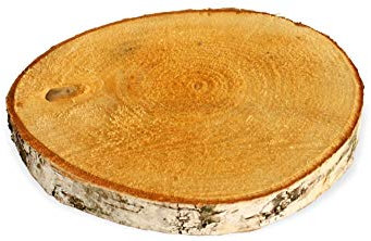 matches21 HOME & HOBBY Holzscheibe zum Basteln oder Dekorieren - 1 Stück naturbelassene Baumscheibe aus Birkenholz mit 10-15 cm Durchmesser - runde Holz Birkenscheibe als Deko Holzplatte Holzdeko