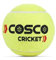 Cosco Cricket Normal Force Leather Tennis Ball (Yellow) -Pack of 6