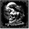 Spreadshirt Alchemy England Rabe Poe's Raven Totenkopf Poster 40x40 cm, One size, Weiß