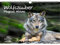 Wolfszauber Immerwährender Kalender DIN A3 Wolf und Wölfe - Seelenzauber