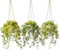 YVONNEYI 3 Pièces Plante Artificielle Tombante avec Pots, Plantes Artificielles Interieur pour Decoration Chambre, Fausse Plante Suspendue pour Maison Salle de Bain Bureaux Décoration-030