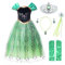 JerrisApparel Grün Prinzessin Anna Kostüm Mädchen Halloween Karneval Verkleidung (110, Grün mit Zubehör)