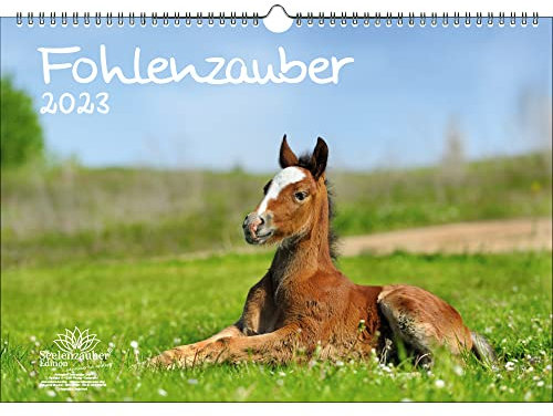 Fohlenzauber DIN A3 Kalender für 2023 Pferde und Fohlen - Seelenzauber, KN2023-3W-0015-D-0