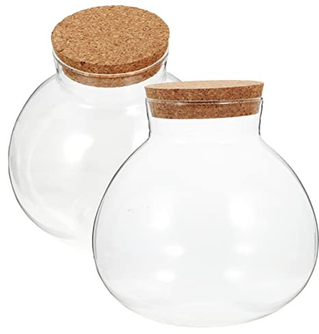 KONTONTY 2piezas Botella De Terrario De Vidrio Transparente Tapa De Corcho para Paisajismo Musgo y Decoración Interior para Paisajes y Manualidades