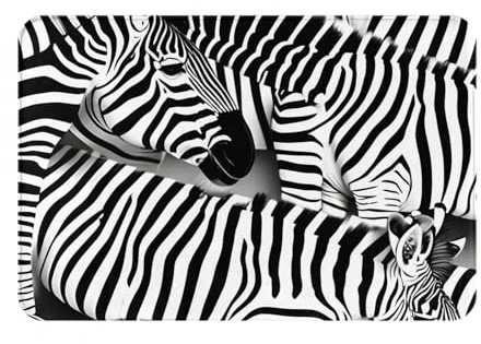 Zebra Print Ultra Thin Door Mat,Rug Perfect for Indoor Front Door,Back Door,Patio and Entryway