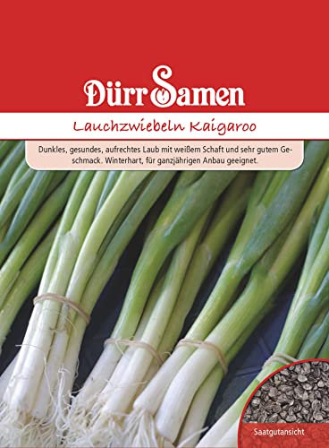 Lauchzwiebeln winterhart