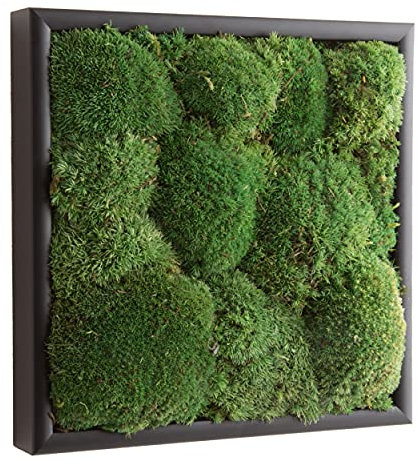 ROSEMARIE SCHULZ Heidelberg Moosbild Pflanzenbild Wandbild Wanddekoration aus konserviertem Moos (Polstermoos)