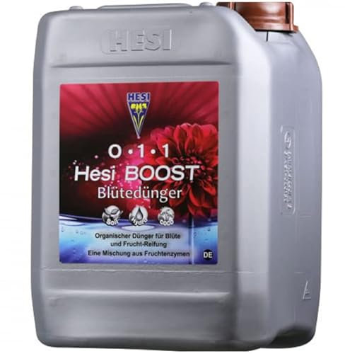 Hesi HB5