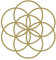 Der Samen des Lebens X - Wandaufkleber Wandtattoo SEEDS OF LIFE Sticker Aufkleber - erhältlich in vielen Farben (Gold, 80 x 80 cm)
