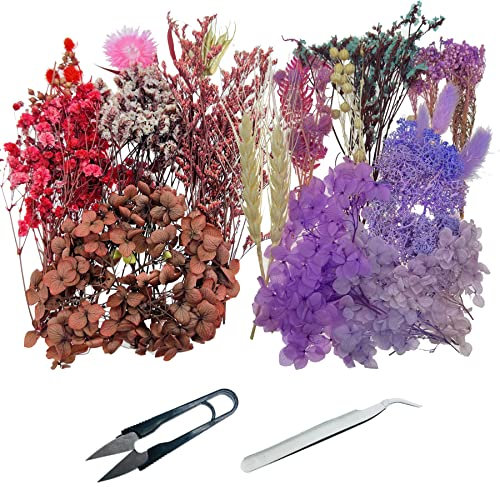 Cayway 2 Packs Natürliche Getrocknete Blumen Getrocknete Blätter Getrocknete Blumen Deko Gemischt mit Pinzette, Schere für Harz Kerzen Nagel DIY Dekor