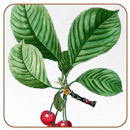 Kirschbaum-Untersetzer, 6 Stück, PU-Leder, dekoratives Geschenk für Heimdekoration