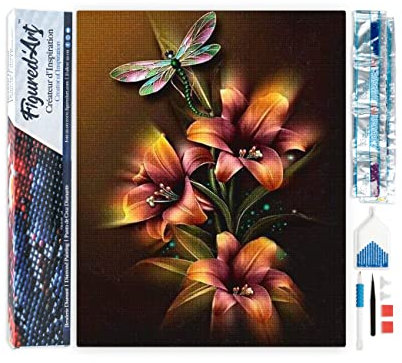 Figured'Art Diamond Painting Erwachsene 40x50cm Ganze Leinwand gerollt Lilien und Libelle 5D Bilder Eckige Steine - DIY Set Basteln