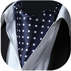 HISDERN Krawattenschal Navy blau Herren Hochzeit Ascot Krawatte Gepunktete Elegant Business Halstuch