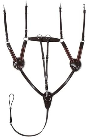 Start 5-Punkt Leder Vorderzeug mit abnehmbarem Martingal – hochwertige Lederausführung, elastische Einsätze, Lammfellpolster, rostfreie Edelstahlbeschläge (Braun, Cob (Vollblut))