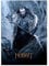 Displate Offiziell Hobbit MetallPoster Magnetische Befestigung Inklusive Lizenziert Bilder Hochwertiges Poster The Hobbit: The Desolation of Smaug - Thorin with Orcrist Poster 45 cm x 32 cm