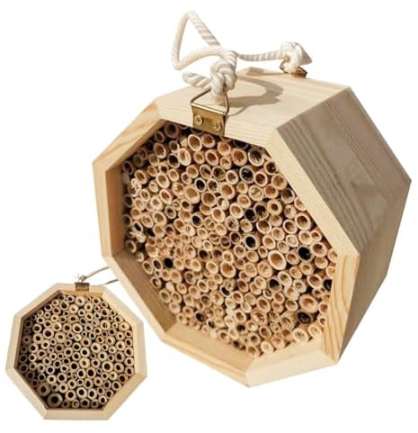 Bienenhaus Holz Lockt Bestäuber An