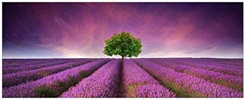 Wallario Wandbild aus Acryl, 50 x 125 cm, freischwebende Optik - Lila Blumenfeld