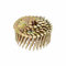 Dewalt DNR3138HDZ Coil Nail DNR 38 mm 1.2 KST. FVZ, Multicoloured
