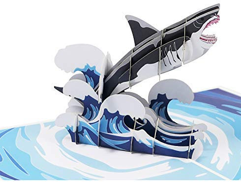 Sweetpopup® 3D Pop Up Karte Glückwunsch Meer Ozean | Premium Metallic-Papier & Notizkarte | Klappkarte Hai Fisch, 015