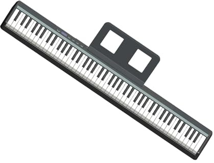 88 Fully Weightedkeys Keyboard Professional Mini Piano Controlador Keyboard Musical Instrument Portable Electronic Keyboards (Color : 02)