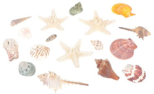 POPETPOP Coquille Saint- Décor Crab House Coquillage Aquarium Ornement Fish Tank Décor