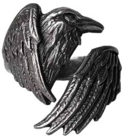 Auriselle Herrenring Verstellbar Schwarz Rabenschwingen Vintage Wikinger Retro Offener Ring Daumenring Gothic Punk Schmuck Geschenke für Männer Jungen Vater