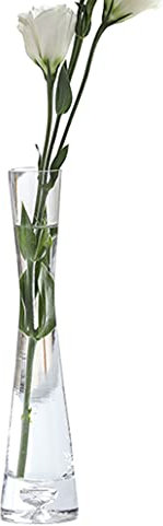 Vase en verre soufflé à la main - Vase transparent à tige unique ou décoration de maison et de bureau.
