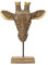 Lifestyle & More Moderne Skulptur Dekofigur Giraffenkopf aus Kunststein Gold 28x37 cm