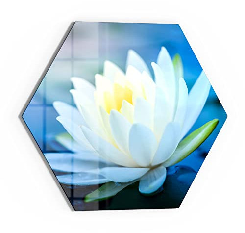 DEQORI Glasbild Echtglas | Motiv Lotusblüte im Wasser | sechseckig einteilig 40x34,5 cm | schöne Dekoration | Wandbild für Wohnzimmer, Schlafzimmer, Flur & Küche | moderne Wanddeko