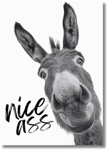 Casapixo Poster Esel Nice Ass | Wandbild Badezimmer Deko Bilder Bad schwarz-weiß Spruch | WC Deko DIN A4 ohne Rahmen Wallart