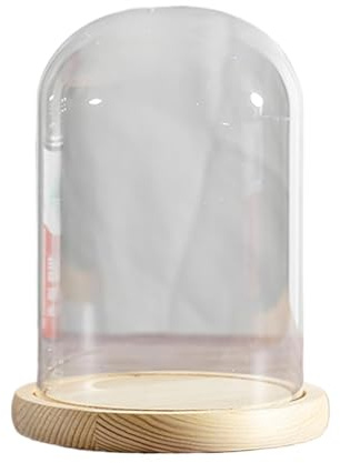 IPAGSEFWE Cúpula de Cristal para expositores, Campana de Cristal con Base Madera for exhibición, 20 cm diámetro x (35-50) Altura(Dia20*H35cm)